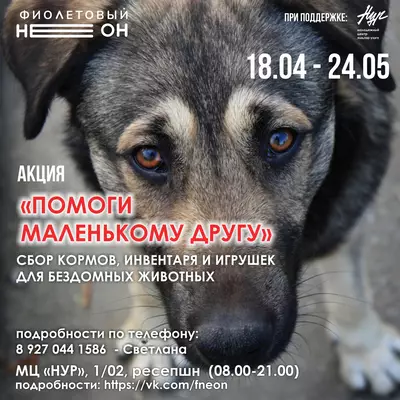 Акция «Помоги маленькому другу» продлевается!