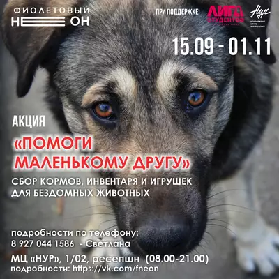 Акция «Помоги маленькому другу»