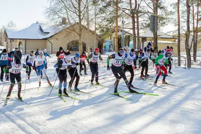 XVI Городская студенческая спартакиада: Лыжные гонки