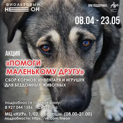 Объявляем о старте ежегодной благотворительной Акции «Помоги маленькому другу»